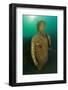 Ancient Roman statue of Antonia minor, Naples, Italy-Franco Banfi-Framed Photographic Print