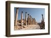 Ancient Roman stone road with a colonnade, Jerash, Jordan, Middle East-Francesco Fanti-Framed Photographic Print