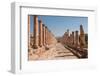 Ancient Roman stone road with a colonnade, Jerash, Jordan, Middle East-Francesco Fanti-Framed Photographic Print