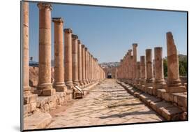 Ancient Roman stone road with a colonnade, Jerash, Jordan, Middle East-Francesco Fanti-Mounted Photographic Print