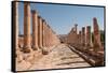 Ancient Roman stone road with a colonnade, Jerash, Jordan, Middle East-Francesco Fanti-Framed Stretched Canvas