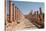 Ancient Roman stone road with a colonnade, Jerash, Jordan, Middle East-Francesco Fanti-Stretched Canvas