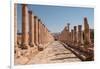 Ancient Roman stone road with a colonnade, Jerash, Jordan, Middle East-Francesco Fanti-Framed Photographic Print