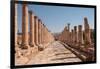Ancient Roman stone road with a colonnade, Jerash, Jordan, Middle East-Francesco Fanti-Framed Photographic Print