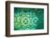 Ancient Roman tessellatum mosaic, in Villa a Protiro, Italy-Franco Banfi-Framed Photographic Print