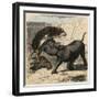 Ancient Rome: Animals fighting in the amphitheatre,-Heinrich Leutemann-Framed Giclee Print