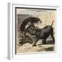 Ancient Rome: Animals fighting in the amphitheatre,-Heinrich Leutemann-Framed Giclee Print