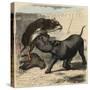 Ancient Rome: Animals fighting in the amphitheatre,-Heinrich Leutemann-Stretched Canvas