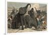 Ancient Rome: Elephants are slain in the amphitheatre,-Heinrich Leutemann-Framed Giclee Print