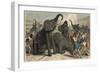 Ancient Rome: Elephants are slain in the amphitheatre,-Heinrich Leutemann-Framed Giclee Print