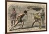 Ancient Rome: Gladiator fights in amphitheatre,-Heinrich Leutemann-Framed Giclee Print