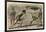 Ancient Rome: Gladiator fights in amphitheatre,-Heinrich Leutemann-Framed Giclee Print