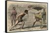 Ancient Rome: Gladiator fights in amphitheatre,-Heinrich Leutemann-Framed Stretched Canvas