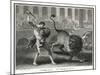 Ancient Rome Gladiators Fighting Lions in an Arena-Patas-Mounted Art Print