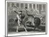 Ancient Rome Gladiators Fighting Lions in an Arena-Patas-Mounted Art Print