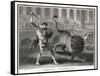 Ancient Rome Gladiators Fighting Lions in an Arena-Patas-Framed Stretched Canvas