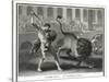 Ancient Rome Gladiators Fighting Lions in an Arena-Patas-Stretched Canvas