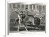 Ancient Rome Gladiators Fighting Lions in an Arena-Patas-Framed Art Print