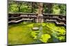 Ancient Royal Bathing Pool-Marsy-Mounted Photographic Print