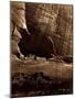 Ancient Ruins in the Canon De Chelle, N.M.-null-Mounted Giclee Print