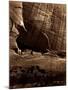 Ancient Ruins in the Canon De Chelle, N.M.-null-Mounted Giclee Print