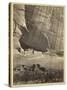 Ancient Ruins in the Canyon De Chelly, N.M., in a Niche 50 Feet Above Present Canyon Bed, 1873-Timothy O'Sullivan-Stretched Canvas