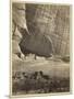 Ancient Ruins in the Canyon De Chelly, N.M., in a Niche 50 Feet Above Present Canyon Bed, 1873-Timothy O'Sullivan-Mounted Photographic Print