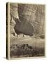 Ancient Ruins in the Canyon De Chelly, N.M., in a Niche 50 Feet Above Present Canyon Bed, 1873-Timothy O'Sullivan-Stretched Canvas