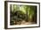 Ancient ruins of Ta Prohm, Angkor Nat'l Park, UNESCO World Heritage, Siem Reap, Cambodia-Logan Brown-Framed Photographic Print