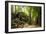 Ancient ruins of Ta Prohm, Angkor Nat'l Park, UNESCO World Heritage, Siem Reap, Cambodia-Logan Brown-Framed Photographic Print