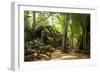 Ancient ruins of Ta Prohm, Angkor Nat'l Park, UNESCO World Heritage, Siem Reap, Cambodia-Logan Brown-Framed Photographic Print