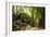 Ancient ruins of Ta Prohm, Angkor Nat'l Park, UNESCO World Heritage, Siem Reap, Cambodia-Logan Brown-Framed Photographic Print