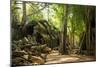 Ancient ruins of Ta Prohm, Angkor Nat'l Park, UNESCO World Heritage, Siem Reap, Cambodia-Logan Brown-Mounted Photographic Print