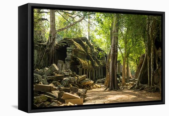 Ancient ruins of Ta Prohm, Angkor Nat'l Park, UNESCO World Heritage, Siem Reap, Cambodia-Logan Brown-Framed Stretched Canvas