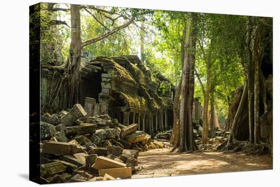 Ancient ruins of Ta Prohm, Angkor Nat'l Park, UNESCO World Heritage, Siem Reap, Cambodia-Logan Brown-Stretched Canvas