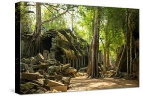 Ancient ruins of Ta Prohm, Angkor Nat'l Park, UNESCO World Heritage, Siem Reap, Cambodia-Logan Brown-Stretched Canvas