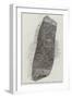 Ancient Runic Stone Recently Found in the Isle of Man-null-Framed Giclee Print