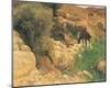 Ancient Source in Syria-Eugen Bracht-Mounted Art Print