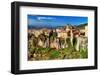 Ancient Spain - Cuenca Town on Cliff Rocks-Maugli-l-Framed Photographic Print