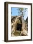 Ancient Stone Door and Tree Roots, Ta Prohm Temple-David Ionut-Framed Photographic Print