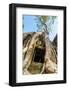 Ancient Stone Door and Tree Roots, Ta Prohm Temple-David Ionut-Framed Photographic Print