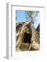 Ancient Stone Door and Tree Roots, Ta Prohm Temple-David Ionut-Framed Photographic Print