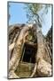 Ancient Stone Door and Tree Roots, Ta Prohm Temple-David Ionut-Mounted Photographic Print