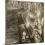 Ancient Stone Stairway Up the Hill to the Tomb of Shogun Ieyasu, Nikko, Japan, 1904-Underwood & Underwood-Mounted Photographic Print