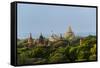 Ancient temple and pagoda rising out of the jungle, Bagan, Mandalay Region, Myanmar-Keren Su-Framed Stretched Canvas