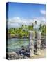 Ancient tiki wooden carvings at the National Historic Park Pu'uhonua o Honaunau, Hawaii-Julie Eggers-Stretched Canvas