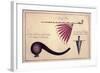 Ancient Tomahawk, Peace Pipe and Dagger, C.1590-John White-Framed Giclee Print