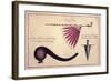 Ancient Tomahawk, Peace Pipe and Dagger, C.1590-John White-Framed Giclee Print