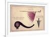 Ancient Tomahawk, Peace Pipe and Dagger, C.1590-John White-Framed Giclee Print