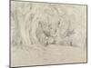 Ancient Trees, Lullingstone Park, 1828 (Graphite on Paper)-Samuel Palmer-Mounted Giclee Print